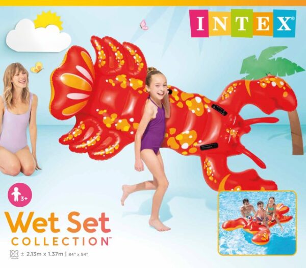 57528 Inflatable Float Ride-On
