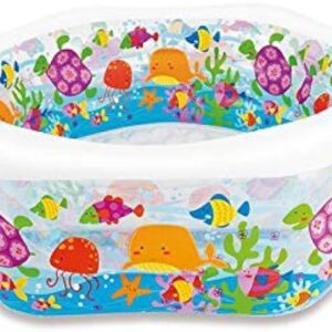 Ocean Reef Pool 56493