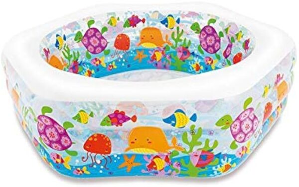 Ocean Reef Pool 56493